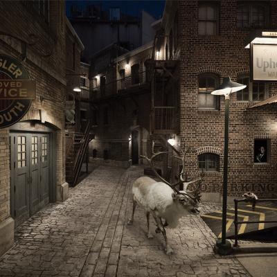 Reindeer alley